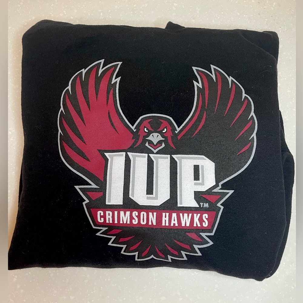Gildan IUP black unisex hoodie